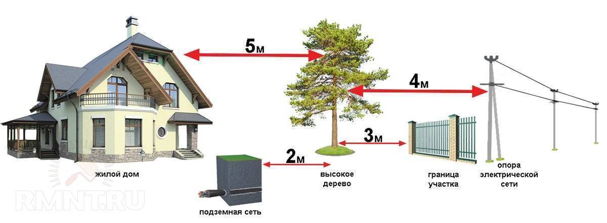 На каком расстоянии от дома можно сажать деревья: норма снип, санпин и закон