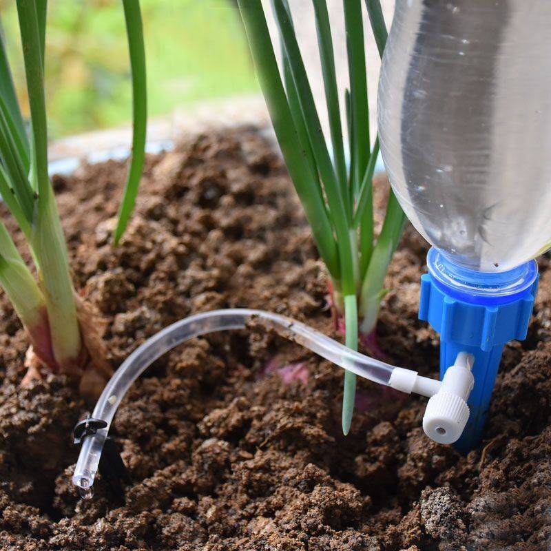 Системы автоматического полива комнатных растений: создание приспособлений для автополива своими руками