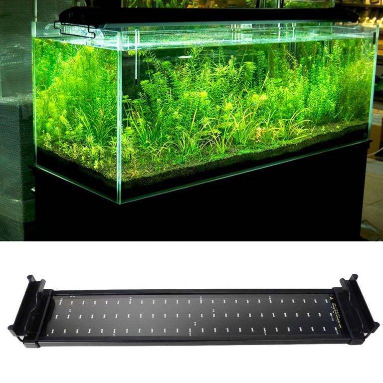 Освещение аквариума: лампы т5 и т8, люминесцентная подводная подсветка для роста растений и другие аквариумные светильники