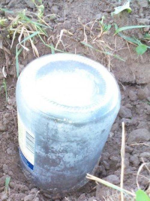 Как найти воду на участке для скважины или колодца