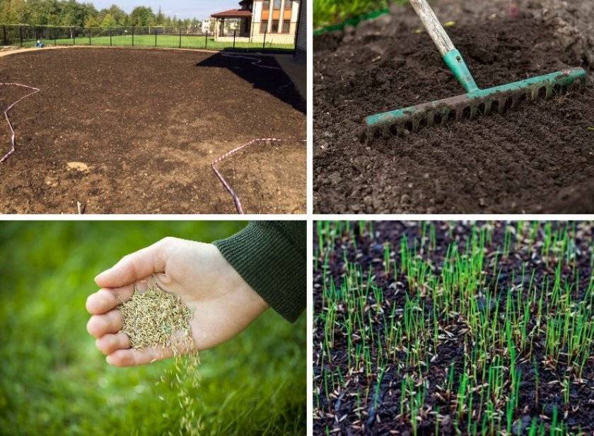 Как подготовить участок (почву) перед посевом газона - виды работ