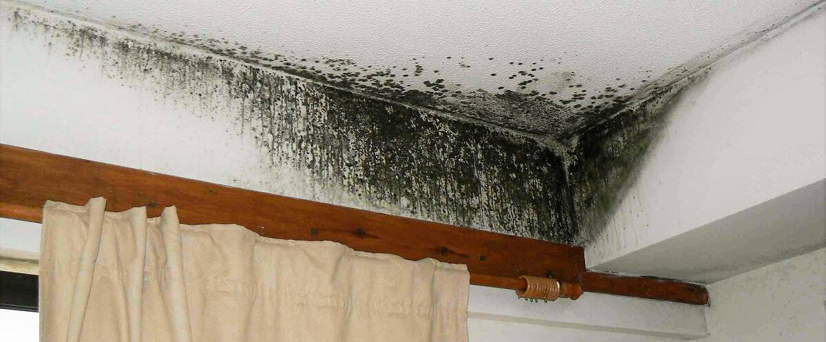 Чем обработать потолок в ванной от плесени - всё о ремонте потолка