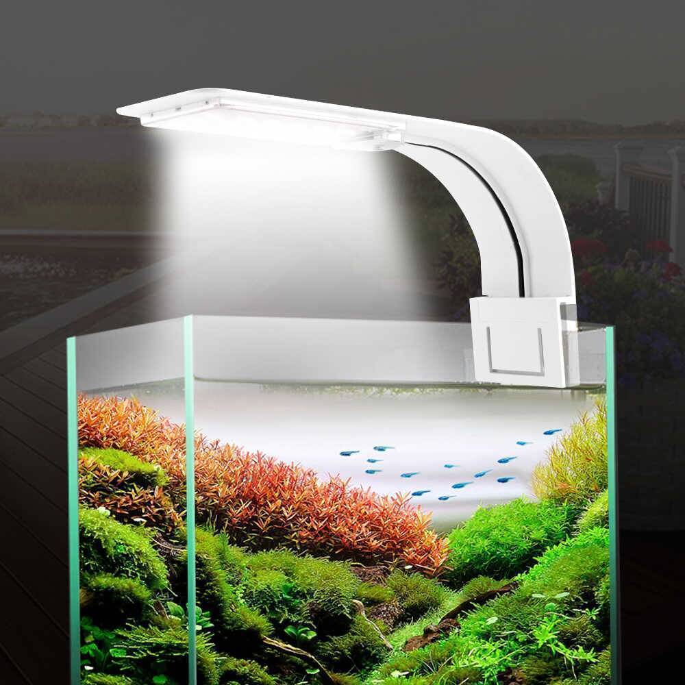 Лампа для аквариума: подбираем правильное освещение и режим светового дня