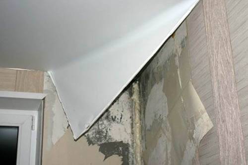 Плесень на потолке — как предотвратить ее появление, профилактика