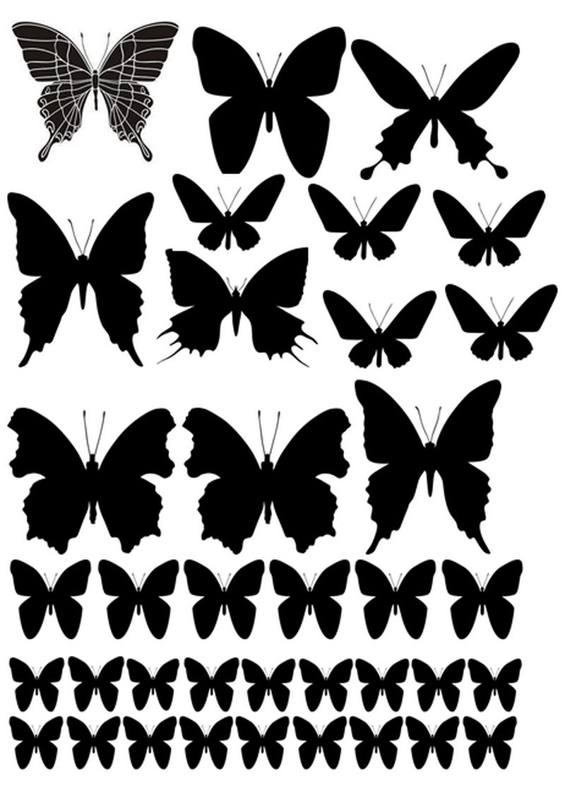 Бабочки своими руками — пошаговая инструкция как сделать декоративные украшения в виде бабочки (90 фото и видео)