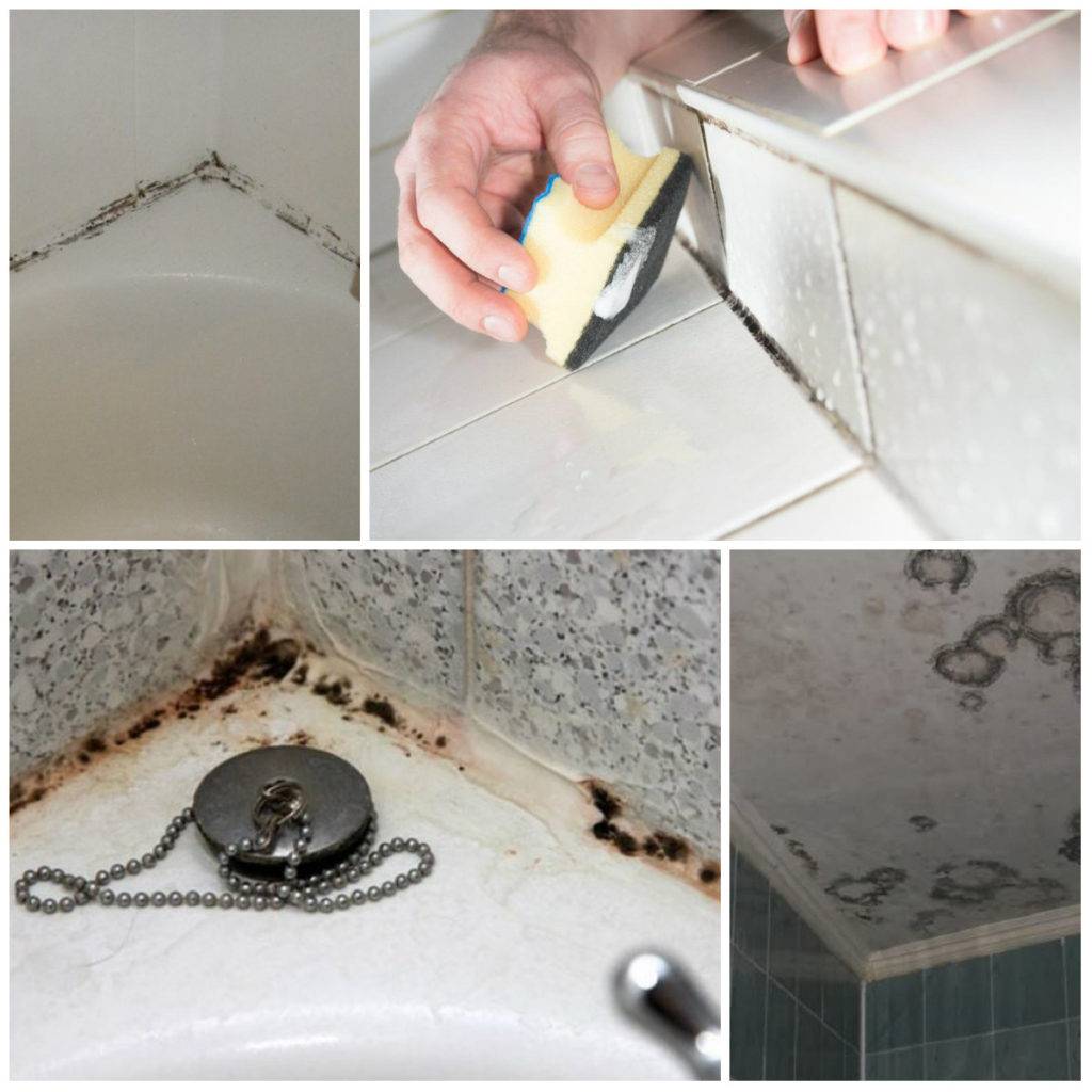 Как удалить грибок в ванной комнате навсегда — средства и методы избавления (видео, фото)