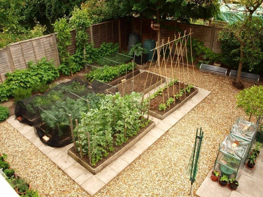 11 идей мини-грядок для свежих овощей и зелени | на грядке (огород.ru)