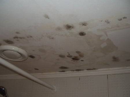 Как избавиться от грибка на потолке — появилась черная плесень на потолке в квартире, что делать, чем обработать потолок в углу комнаты, средство от грибка, антисептик