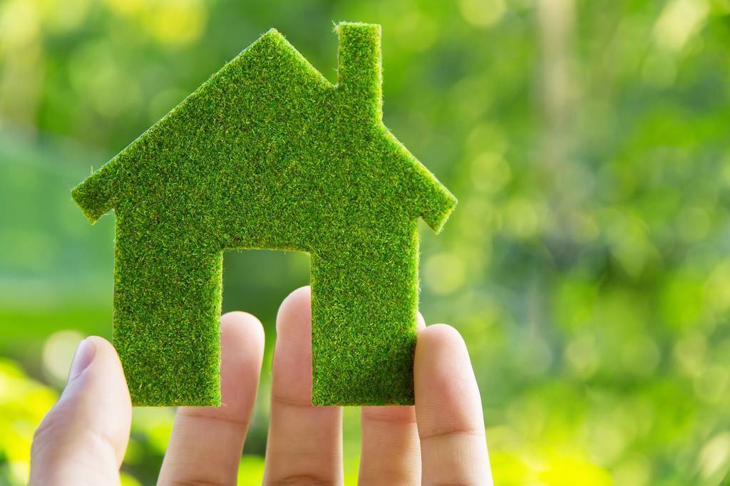 Лучшие экологические дома мира – что такое экологический дом, зачем и как построить экодом