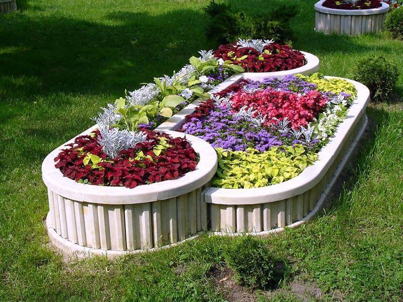 Как красиво оформить клумбу непрерывного цветения своими руками | дизайн участка (огород.ru)