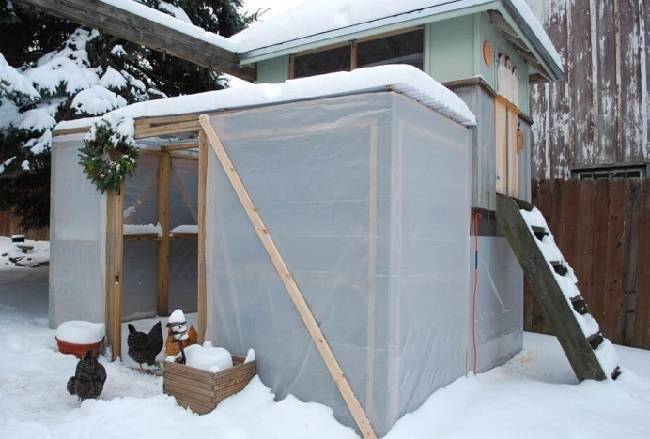 Зимний курятник (80 фото): теплая постройка на 20, 50 и 100 кур своими руками, чертежи, как построить сарай и утеплить его на зиму