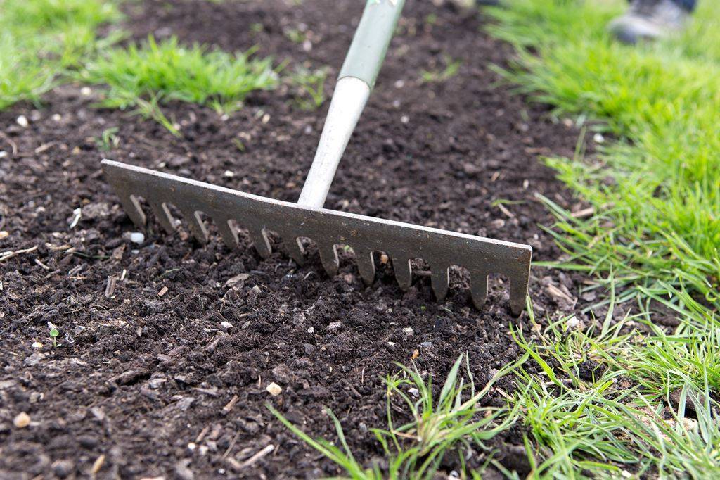 Как посеять газон: полезные советы и пошаговая инструкция