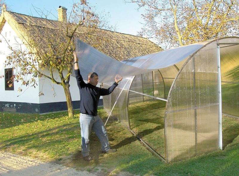 5 интересных идей, как построить зимнюю теплицу своими руками | дела огородные (огород.ru)