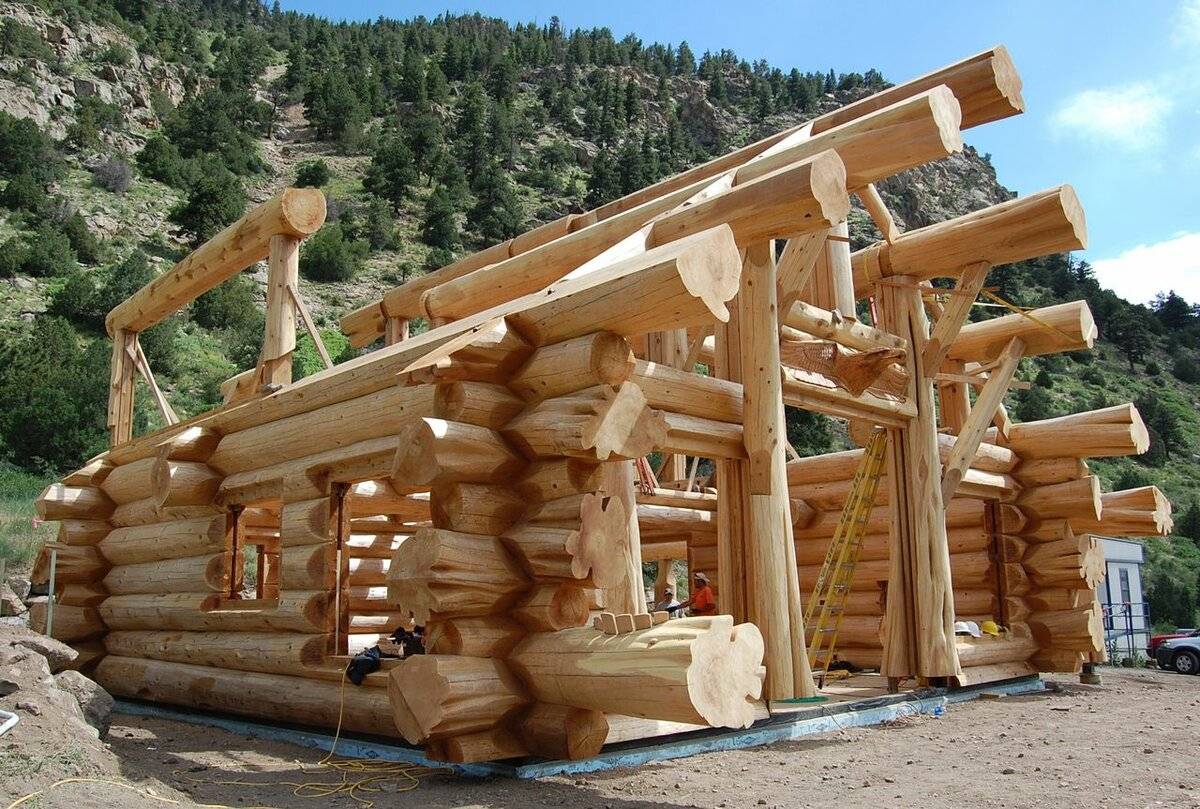 Дом из рубленного бревна: строительство деревянного сруба из строганного дерева ручной рубки