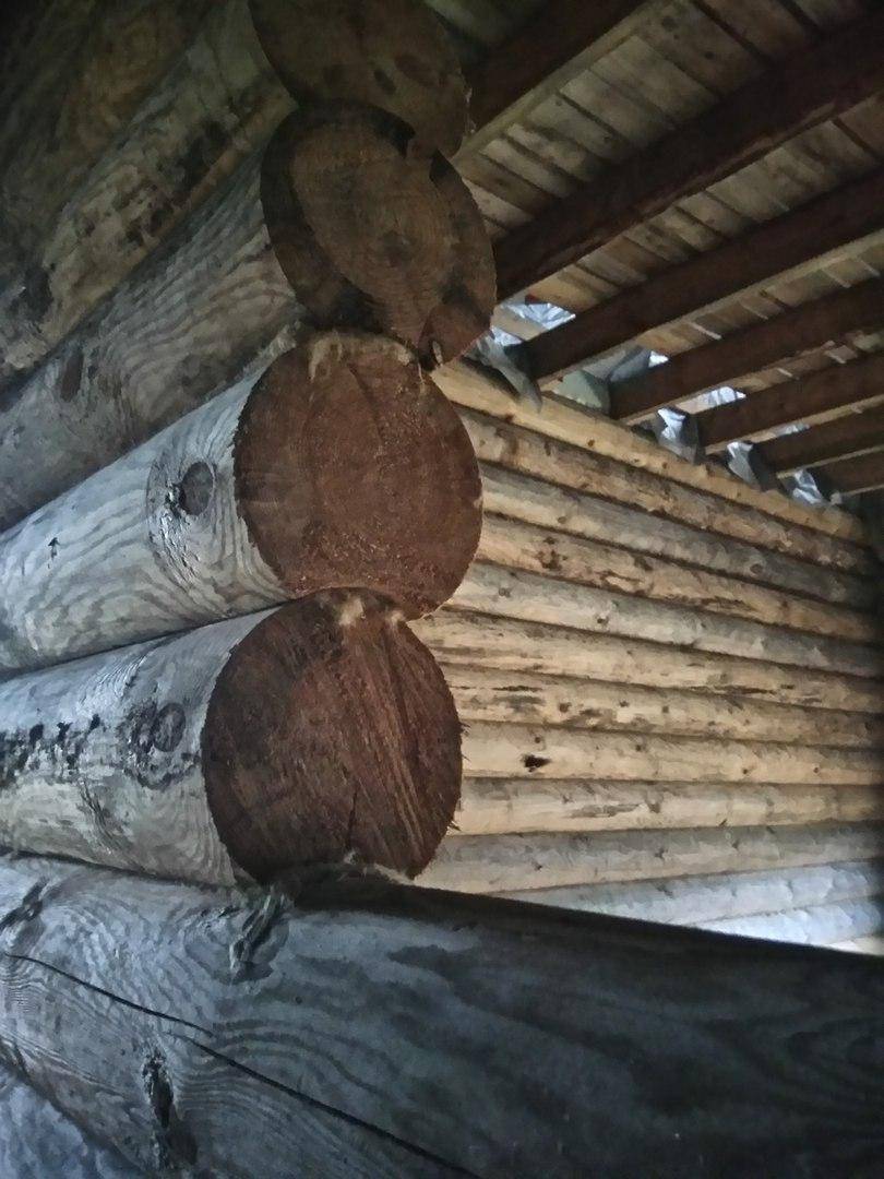 Самые страшные ошибки деревянного строительства – статьи о ремонте и строительстве – диванди