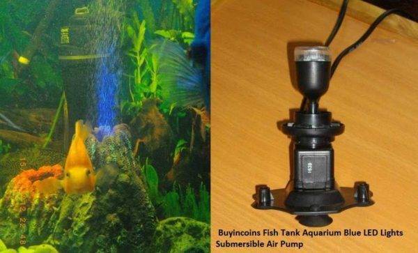 Как выбрать лучшее освещение для аквариума с растениями и все об этом! 