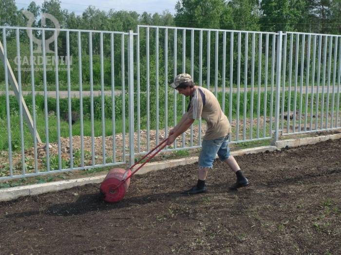 Как сеять газон правильно: засеиваем траву своими руками