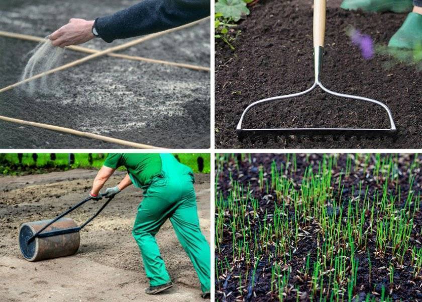 Технология посадки газона своими руками | сажаем сад