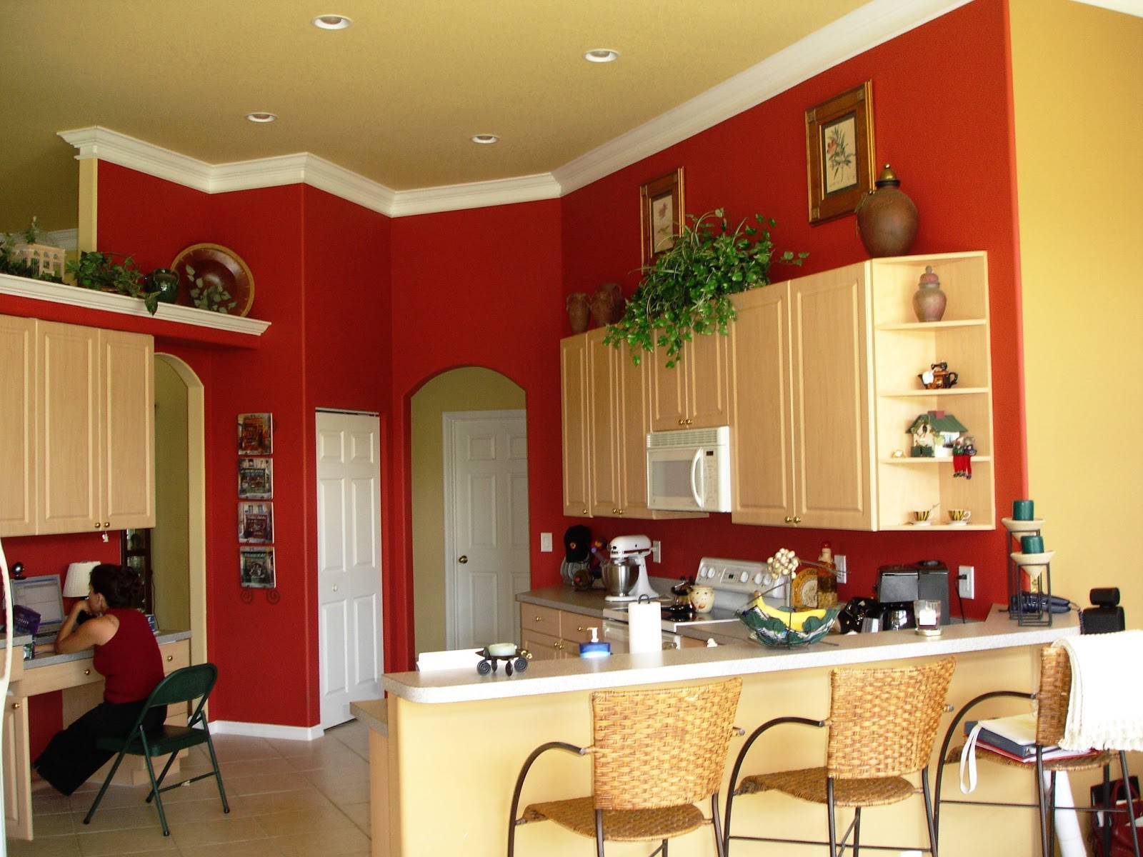 Краска для кухни: чем покрасить стены, чтобы можно было мыть, классификация и виды, а также технология применения